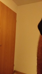 Christian Hostettler IMG 20181201 091758-01